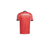 Camiseta de fútbol adidas benfica 25/26 hombre rojo XL