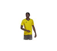 Camiseta de fútbol adidas ent22 hombre 2XL