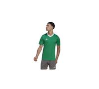 Camiseta de fútbol adidas ent22 hombre XL