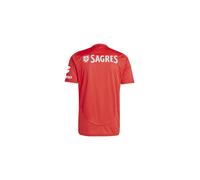 Camiseta de fútbol adidas slb benfica 24/25 hombre L