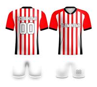 Camiseta de fútbol personalizada del Madrid para hombres, mujeres y niños, 24/25, camiseta de fútbol al aire libre, kit personalizado para añadir el nombre del equipo, logotipo de rayas rojas y