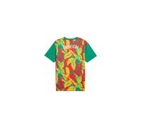 Puma FSF Prematch SS Jersey S Multicolor