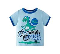 Camiseta de manga corta con diseño de dinosaurio para niños pequeños y divertidos, camiseta de cuello redondo, amarillo y blanco opcional, camiseta para niños, Azul cielo., 5-6 años