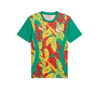 Camiseta de fútbol puma senegal prematch ss hombre verde S