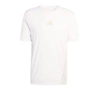 Camiseta de trail running Adidas Terrex Xperior CLIMACOOL+ (WHITE) Hombre