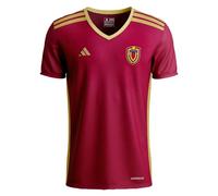 Camiseta de Venezuela, Venezuela Fútbol, Camiseta de Futbol, Ideal para Aficionados al Fútbol y Béisbol, Vinotinto, Small