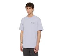 Camiseta Dickies Aitkin M