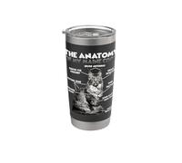 Camiseta divertida del Coon de Maine | Anatomía del Maine Vaso térmico de acero inoxidable de doble pared