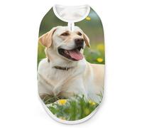 Camiseta divertida para perro Labrador Retriever Dog Lazy Time, ligera, estampada, sin mangas, chaleco para mascotas, camisetas para gatos, talla 2XL
