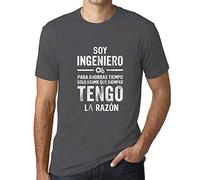 Camiseta Estampada para Hombre Soy Ingeniero Asume Que Siempre Tengo La Razón T-Shirt Vintage Manga Corta Regalo Original Cumpleaños Diseño Gráfico Moda Gris ratón L