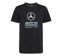Camiseta gráfica para niño Mercedes AMG Petronas Formula One Team DNA 15/16 ans