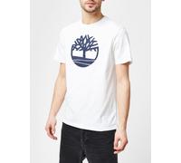 Camiseta Hombre Sin Mangas TIMBERLAND Kennebec River Camiseta Corta W 269809
