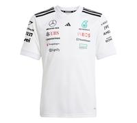 Camiseta infantil adidas Mercedes - AMG Petronas Formula One Team Driver 13/14