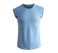Camiseta interior sin mangas para hombre, camiseta sin mangas, para verano, deporte, fitness, culturismo, transpirable, corte regular, para días sencillos y cómodos, ropa informal, azul claro, L