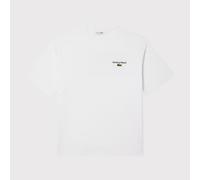 CAMISETA LACOSTE HOMBRE 06