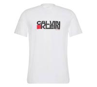 Camiseta M/C Casual Calvin Klein Ss 30s Eu Ck Redbox Graphic Tee - M