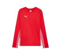 Camiseta manga larga Puma TeamLIGA26 2XL Male