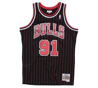 Camiseta NBA Chicago Bulls Dennis Rodman 2XL