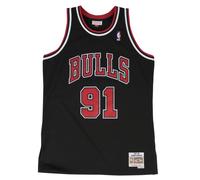 Camiseta nba Chicago Bulls Dennis Rodman L