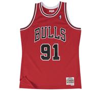 Camiseta NBA Chicago Bulls Dennis Rodman M