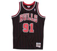 Camiseta nba Chicago Bulls Dennis Rodman S