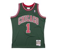 Camiseta nba Chicago Bulls Derrick Rose L
