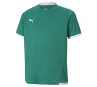 Camiseta niños Puma Team Liga 14 años
