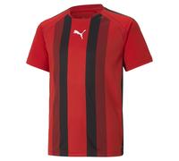 Camiseta niños Puma Team Liga Striped 12 años