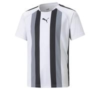 PUMA teamLIGA Striped Jersey Jr