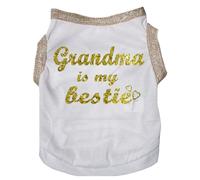 Camiseta para cachorro ""La abuela es mi mejor amiga"" de Petitebella (blanco/dorado, talla mediana)