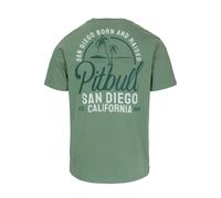 Camiseta Para Hombre Pitbull San Diego Born Regular Fit En Menta 100% BW