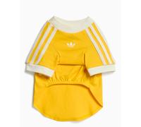 Camiseta para mascotas adidas Originals Cali Amarillo L