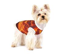 Camiseta prémium para perros de The Sky at the end of the world - Ropa suave 100 % algodón para perros, perfecta para perros pequeños a medianos, camisas elegantes y cómodas para perros, talla S