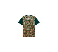 Puma FIF Prematch SS Jersey M Multicolor