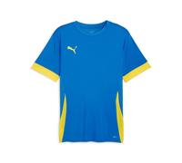 Camiseta Puma TeamGoal M