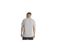 Camiseta reebok gs not spectator sport ss hombre gris L