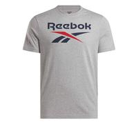 Camiseta Hombre Gris Algodón Logo XL