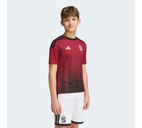 Camiseta réplica 1.ª equipación Sparta Praga 26/27 Niño 164cm 13-14A