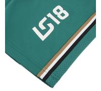 Camiseta réplica PUMA x ASTON MARTIN ARAMCO F1® TEAM Stroll para hombre, Accesoiros, Verde, S S