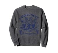 Camiseta retro del estado de Connecticut Est 1788 New England Heritage Sudadera