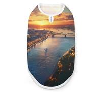 Camiseta sin mangas para perros de la ciudad de Colonia alemana, camiseta sin mangas para gatos y cachorros, talla L