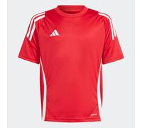 Camiseta infantil adidas Tiro 24 9/10 años