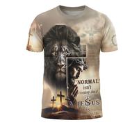 Camiseta Todo Lo Puedo En Cristo, Cristianismo, Versículo T-Shirt Moderna Camisetas Básicas Cómodo Shirts para Senderismo Running Regular S