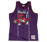 Camiseta Toronto Raptors Swingman M