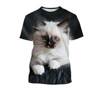 Camiseta Unisex con Estampado 3D, diseño Creativo de Gato, Transpirable, Ligera, Cuello Redondo, Manga Corta Informal(Gray,4XL)