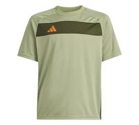 Camiseta verde Adidas verde JR