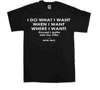 Camisetas divertidas para hombre, camisetas novedosas, ropa de broma, camiseta de fiesta de cumpleaños, regalo 3, I Do What I Want, S