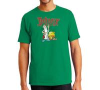 Camisetas EGB Camiseta Adulto/Niño Panoramix - Asterix - Ochenteras 80´s Retro Comic Tallas Especiales (Verde, 5-6 años)