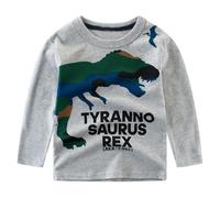 Camisetas Niños Camiseta Camisetas Camisetas Té Niños Bebé Niños Niñas Dinosaurio Letra Impresión Manga Larga Cuello Redondo Camisetas Tops Ropa para Niños, gris, 2-3 años
