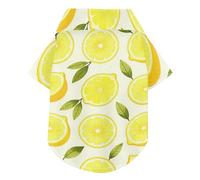 Camisetas polo de verano con cuello de limón amarillo y limón con botones, ligeras y transpirables, ropa para mascotas, sudadera para cachorros y gatitos, perfecta para el uso diario y sesiones de